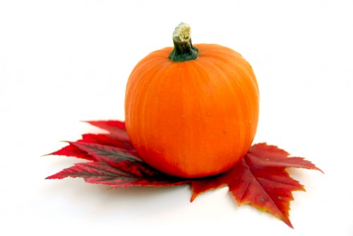 Mini pumpkin