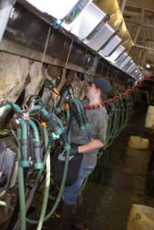 Milking Parlor