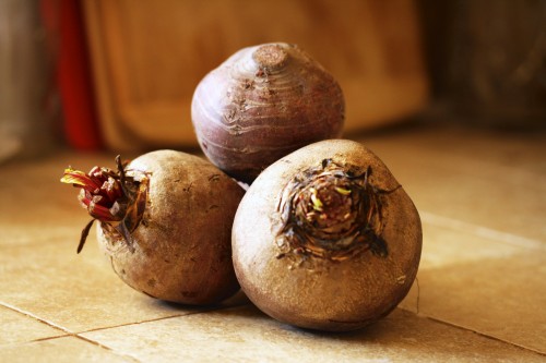 beets_Stella