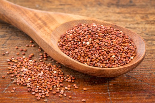 red quinoa grain
