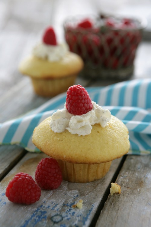 Vanilla Cupcake-6631