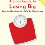 book cover Small Guide_FORBERG