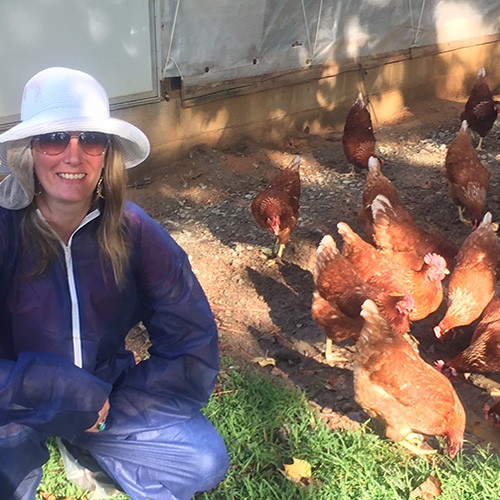 Hanging out with the hens