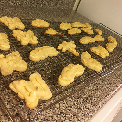 PIC6_Iced Cookies